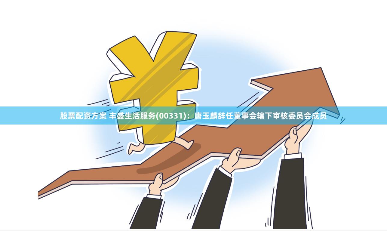 股票配资方案 丰盛生活服务(00331)：唐玉麟辞任董事会辖下审核委员会成员