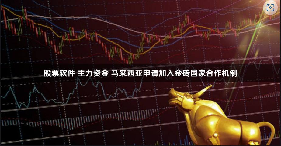 股票软件 主力资金 马来西亚申请加入金砖国家合作机制