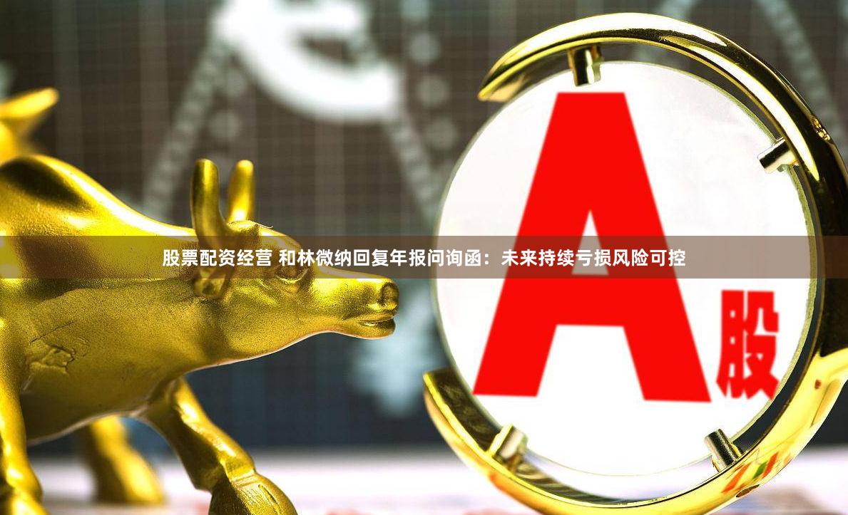 股票配资经营 和林微纳回复年报问询函：未来持续亏损风险可控