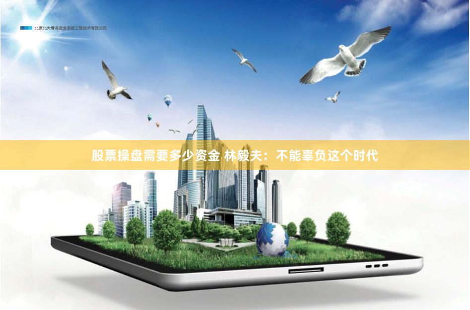 股票操盘需要多少资金 林毅夫：不能辜负这个时代