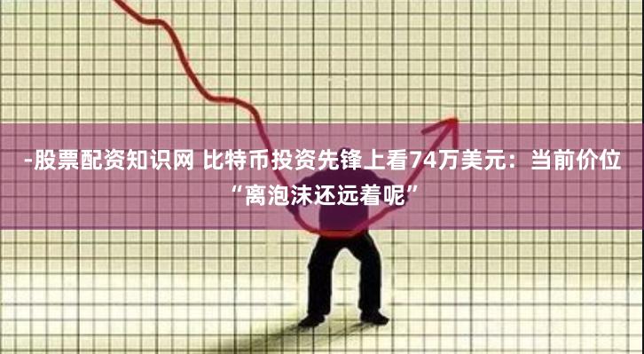 -股票配资知识网 比特币投资先锋上看74万美元：当前价位“离泡沫还远着呢”