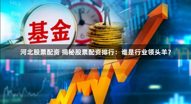 河北股票配资 揭秘股票配资排行：谁是行业领头羊？