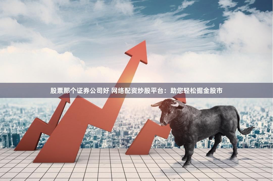 股票那个证券公司好 网络配资炒股平台：助您轻松掘金股市